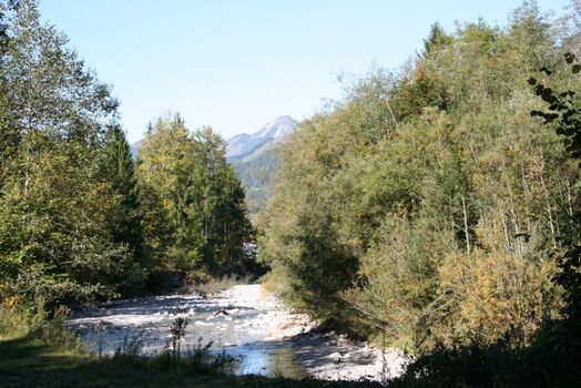 Hinterm Haus  ... die "Lofer"