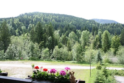 Blick vom Sommerbalkon in die Bergwelt