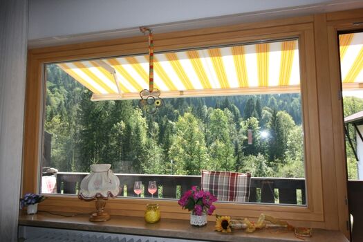 Blick aus dem Wz.Fenster