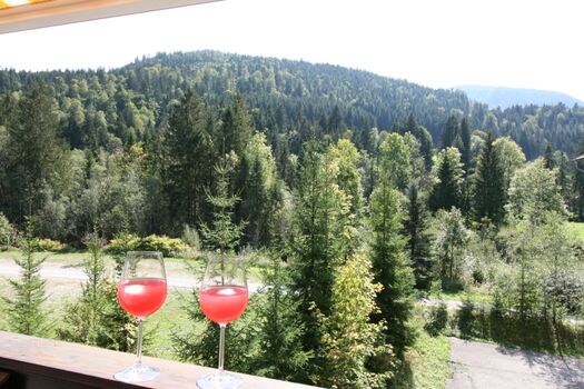 Blick vom Sommerbalkon