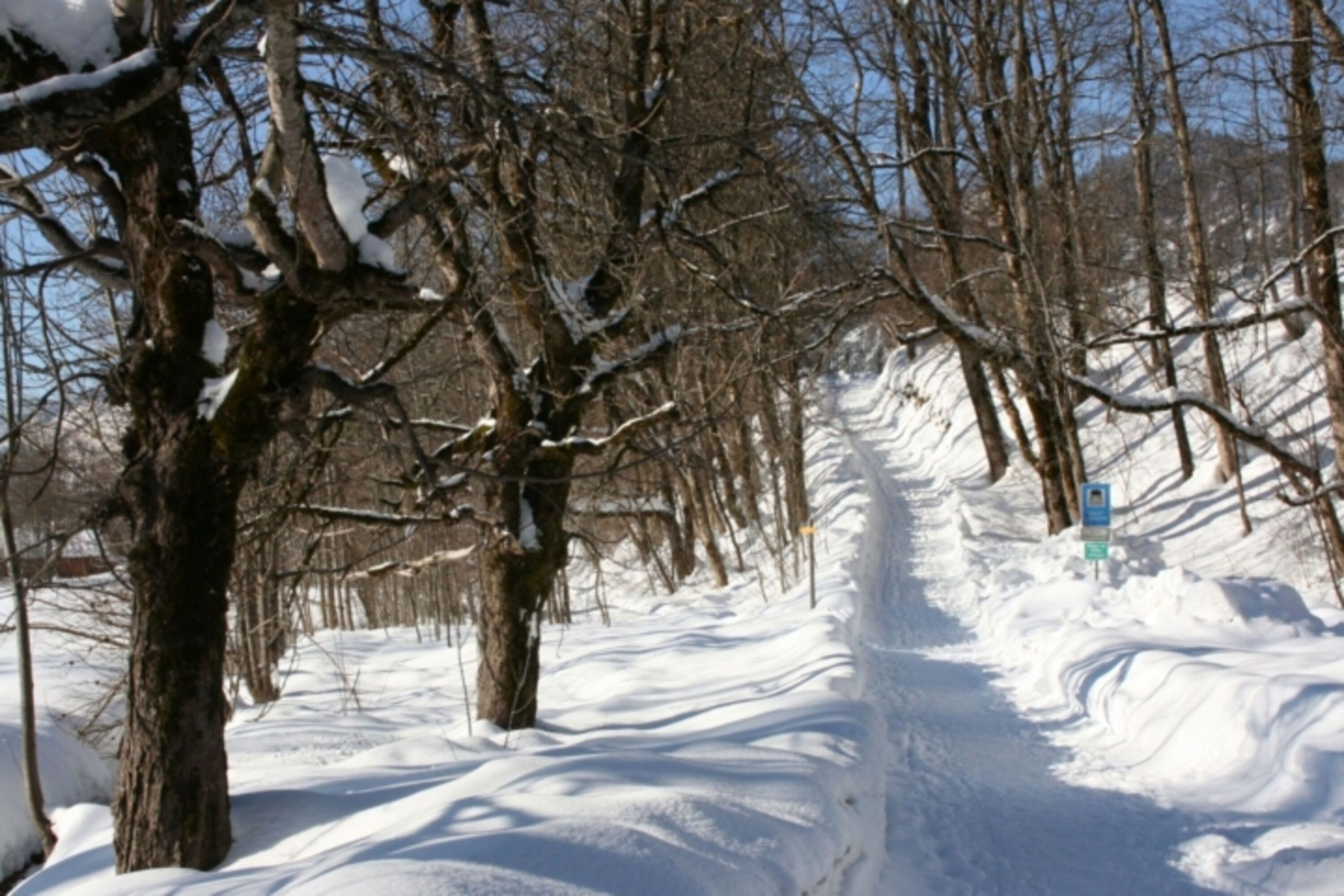 Winter :-)