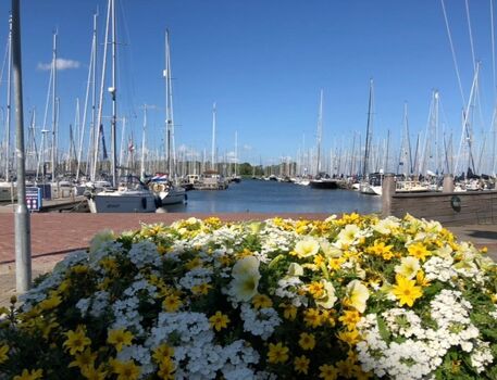 einfach wunderschön