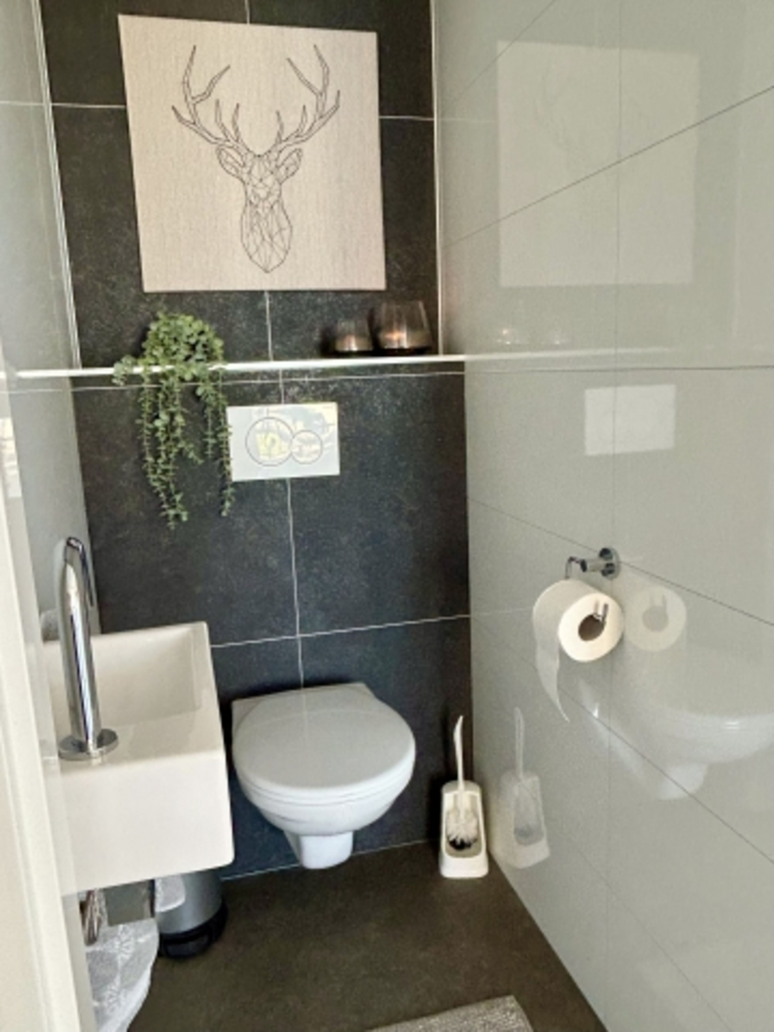 separates WC