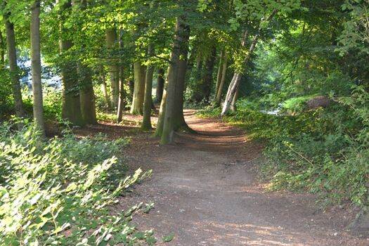 Spazierweg vor der Villa