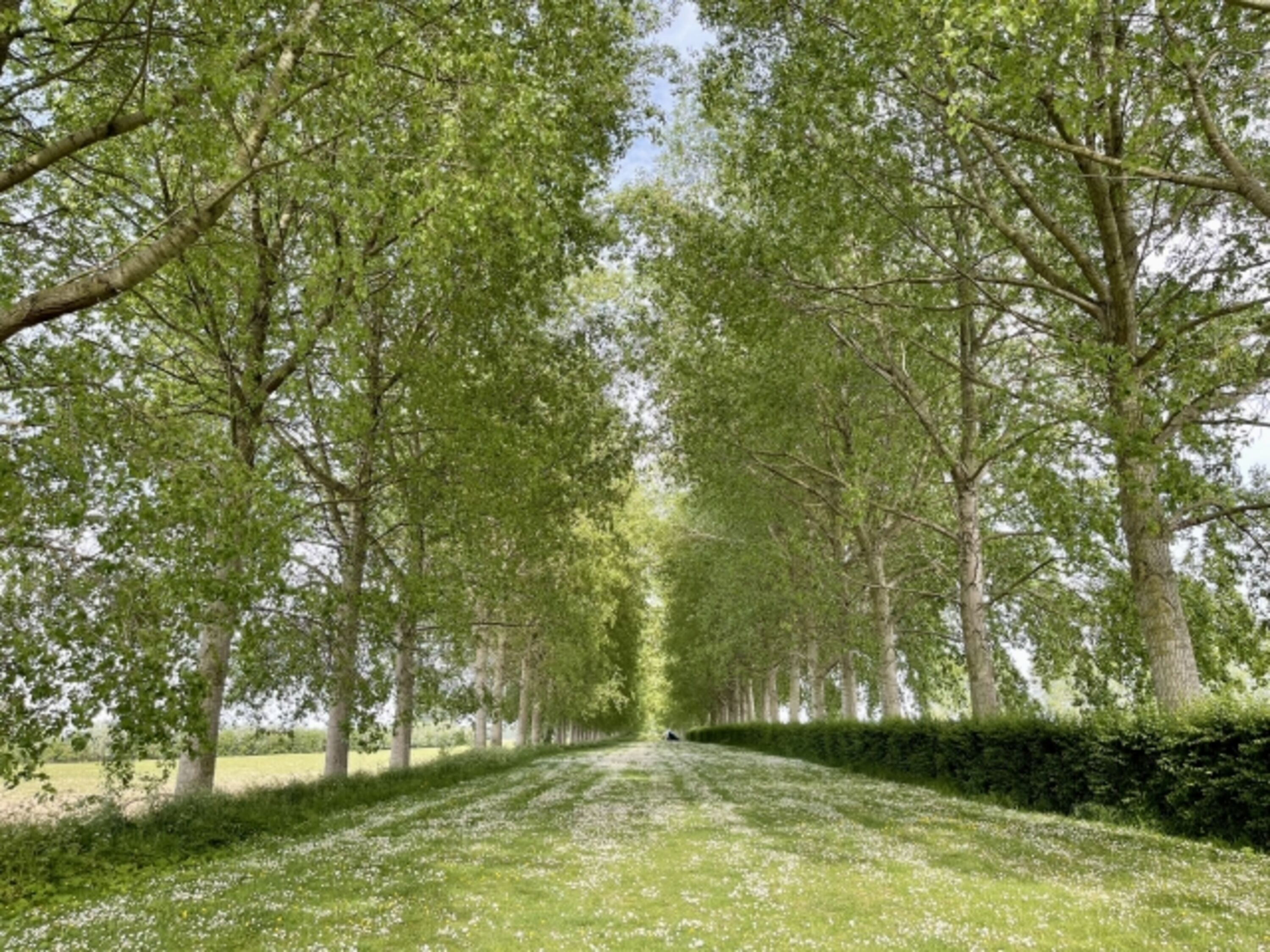 Umland Bonte Hoeve