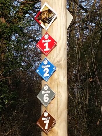 Unzählige Wanderwege in direkter Umgebung