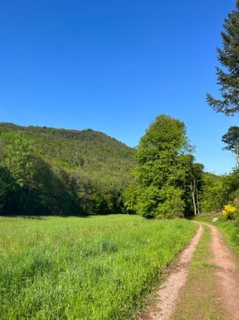 Tolle Wanderwege fast direkt vor der Haustüre