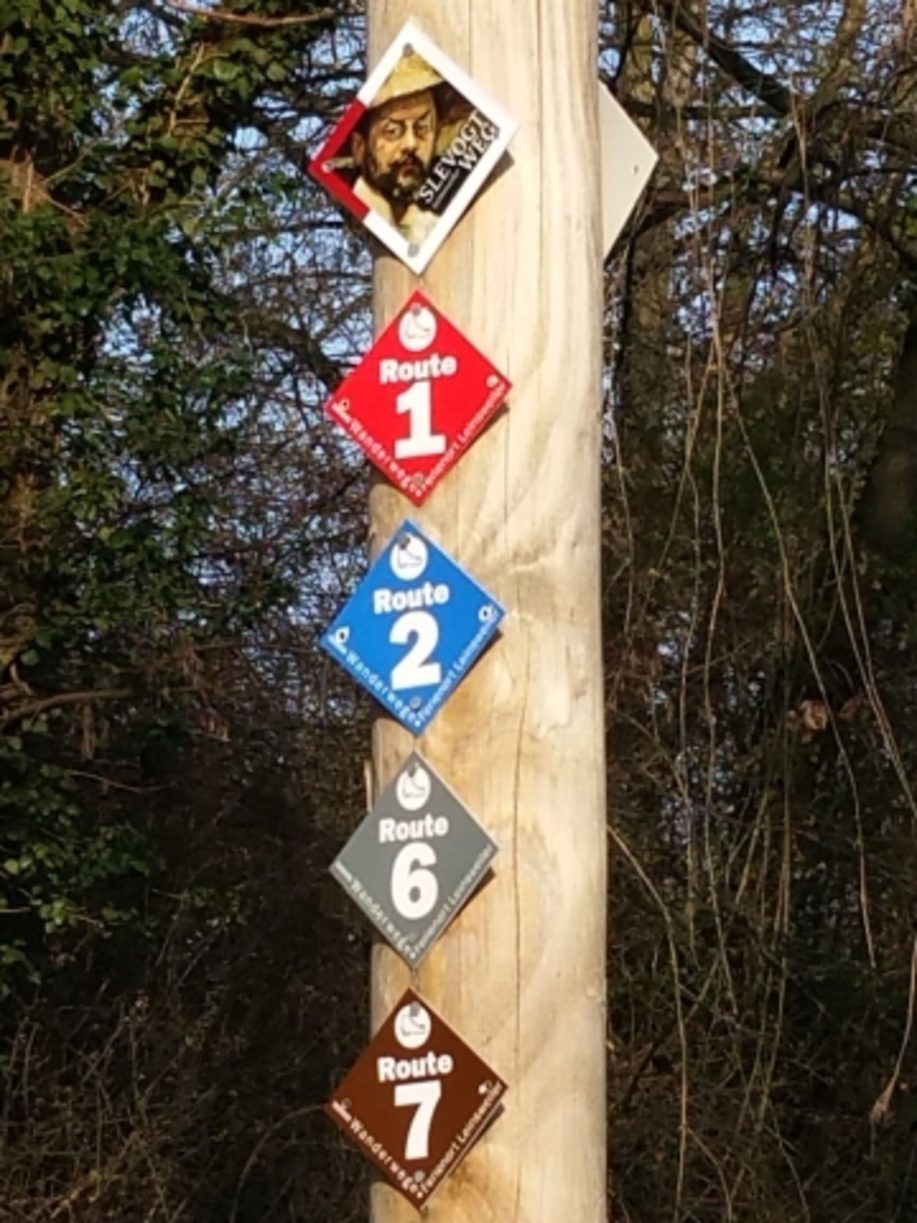 Unzählige Wanderwege in direkter Umgebung