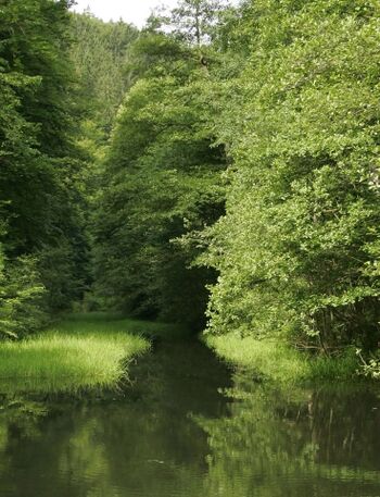 Natur in der Umgebung