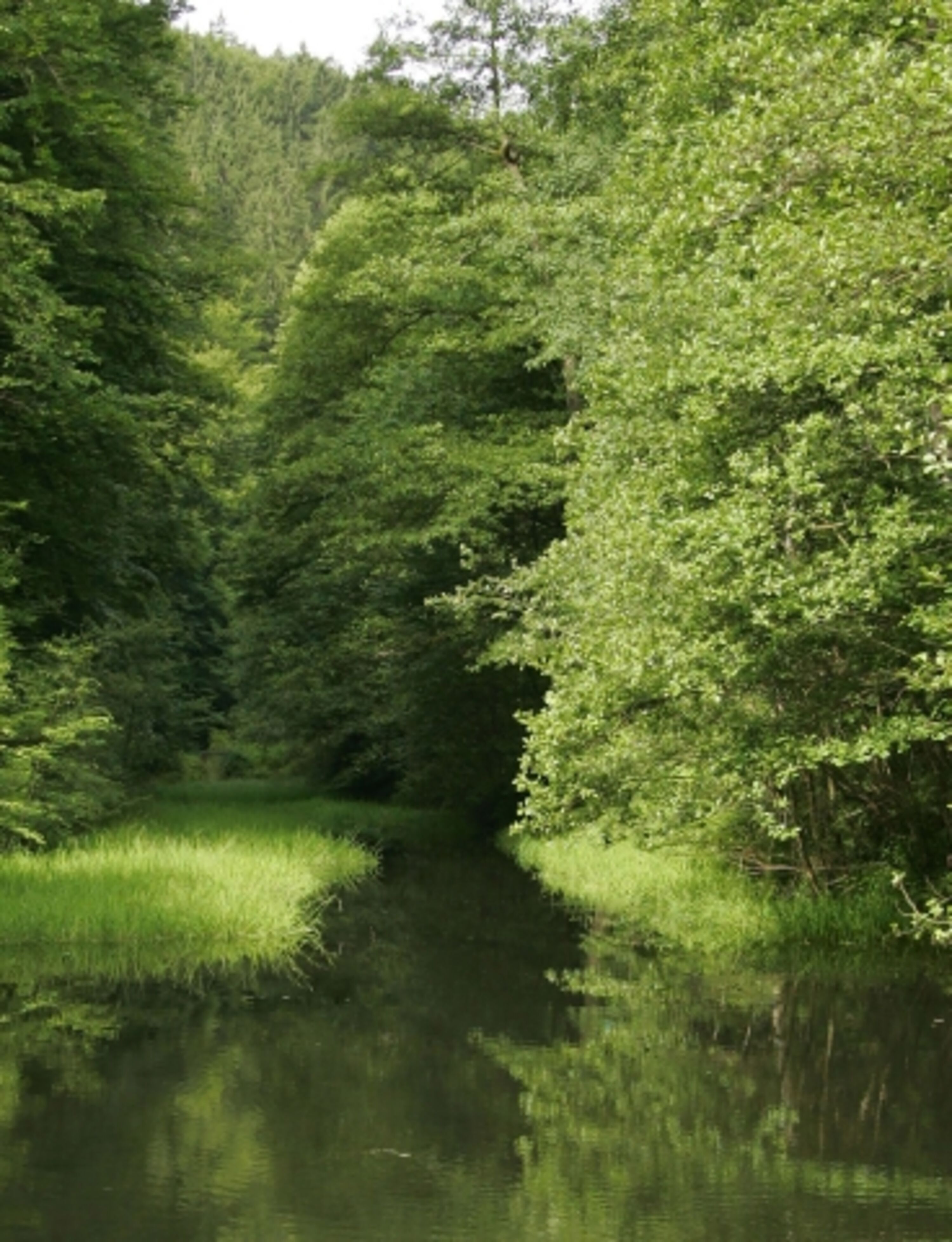 Natur in der Umgebung