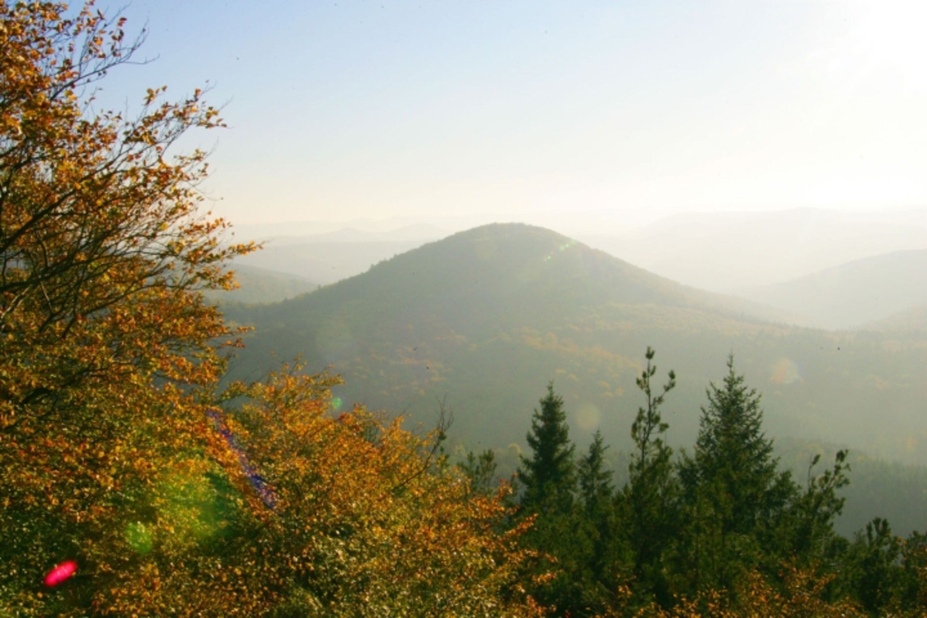 Drachenfels