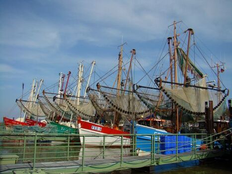 Kutterhafen Fedderwardersiel