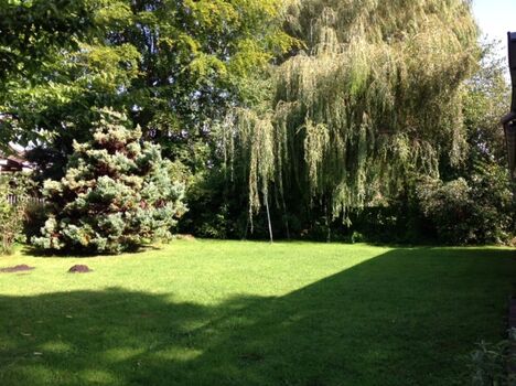 Ferienhaus Reling Garten