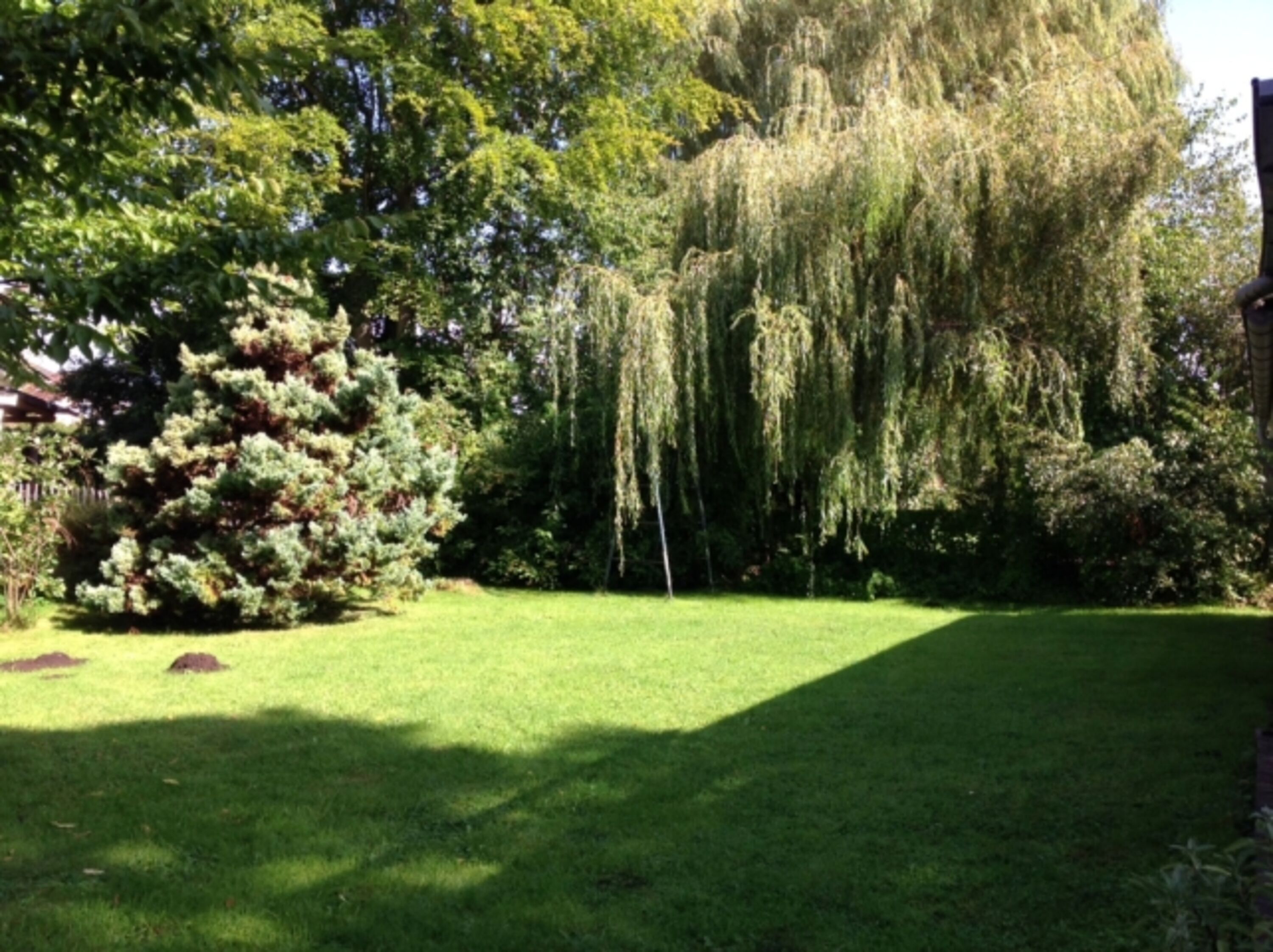 Ferienhaus Reling Garten