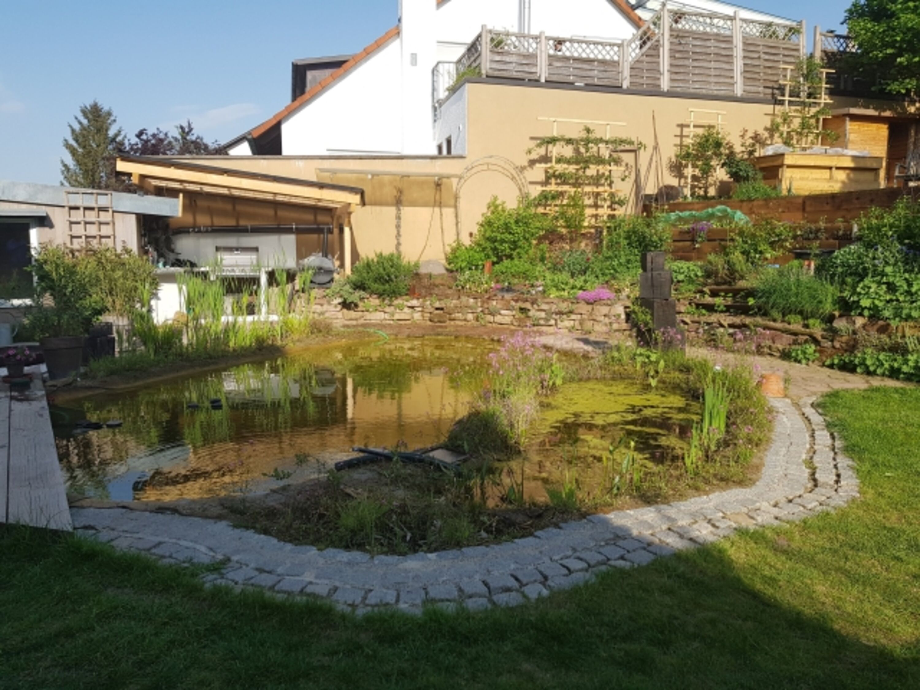 Garten mit Schwimmteich