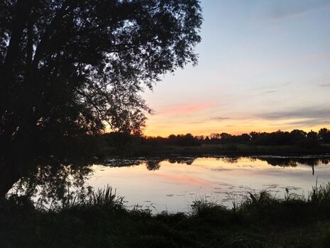 Torfkuhle im Sonnenuntergang