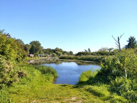 Hundebadestelle an der Trebel 