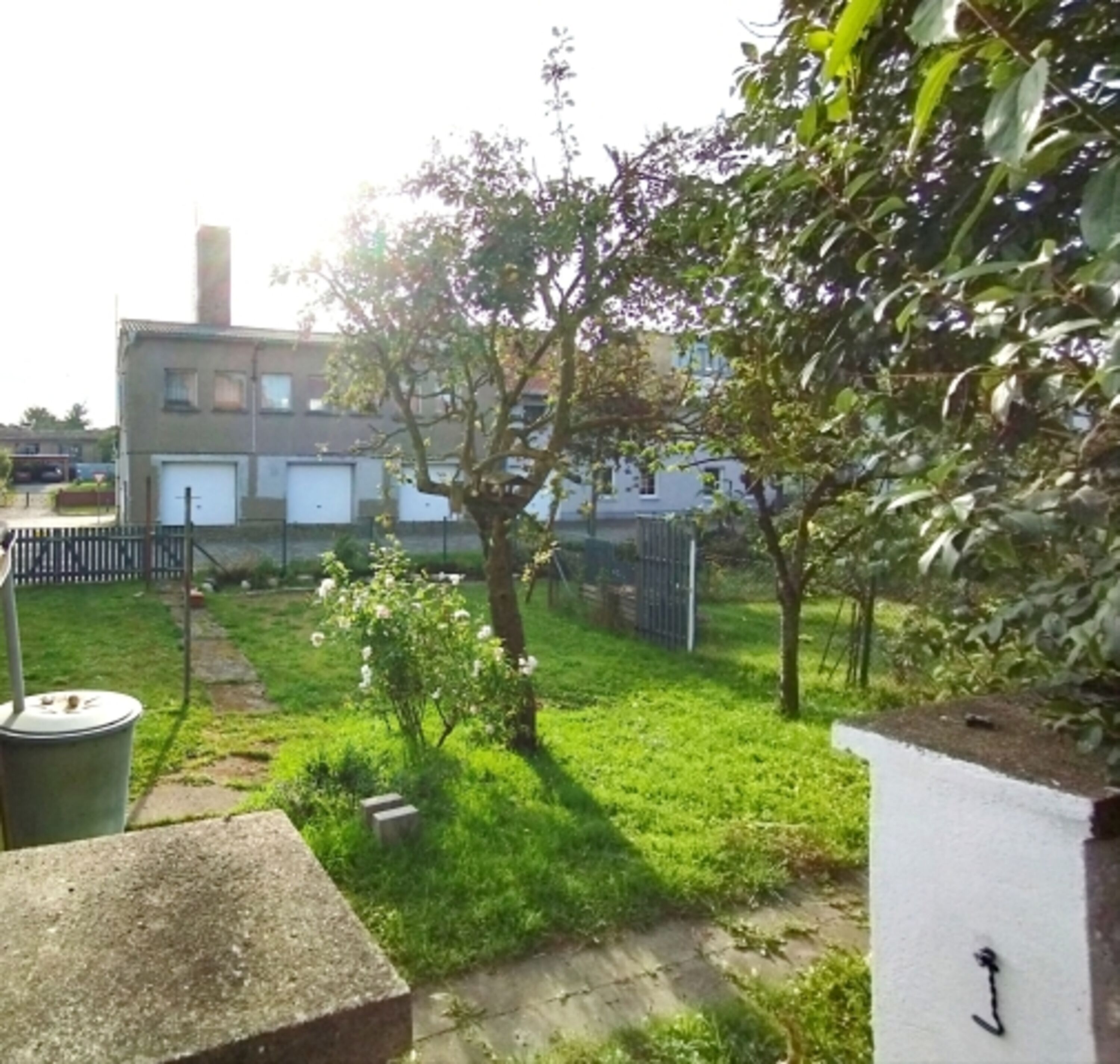 Blick in den Garten
