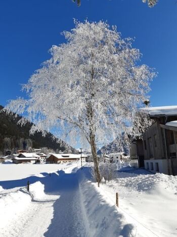 Winterlandschaft Waidring