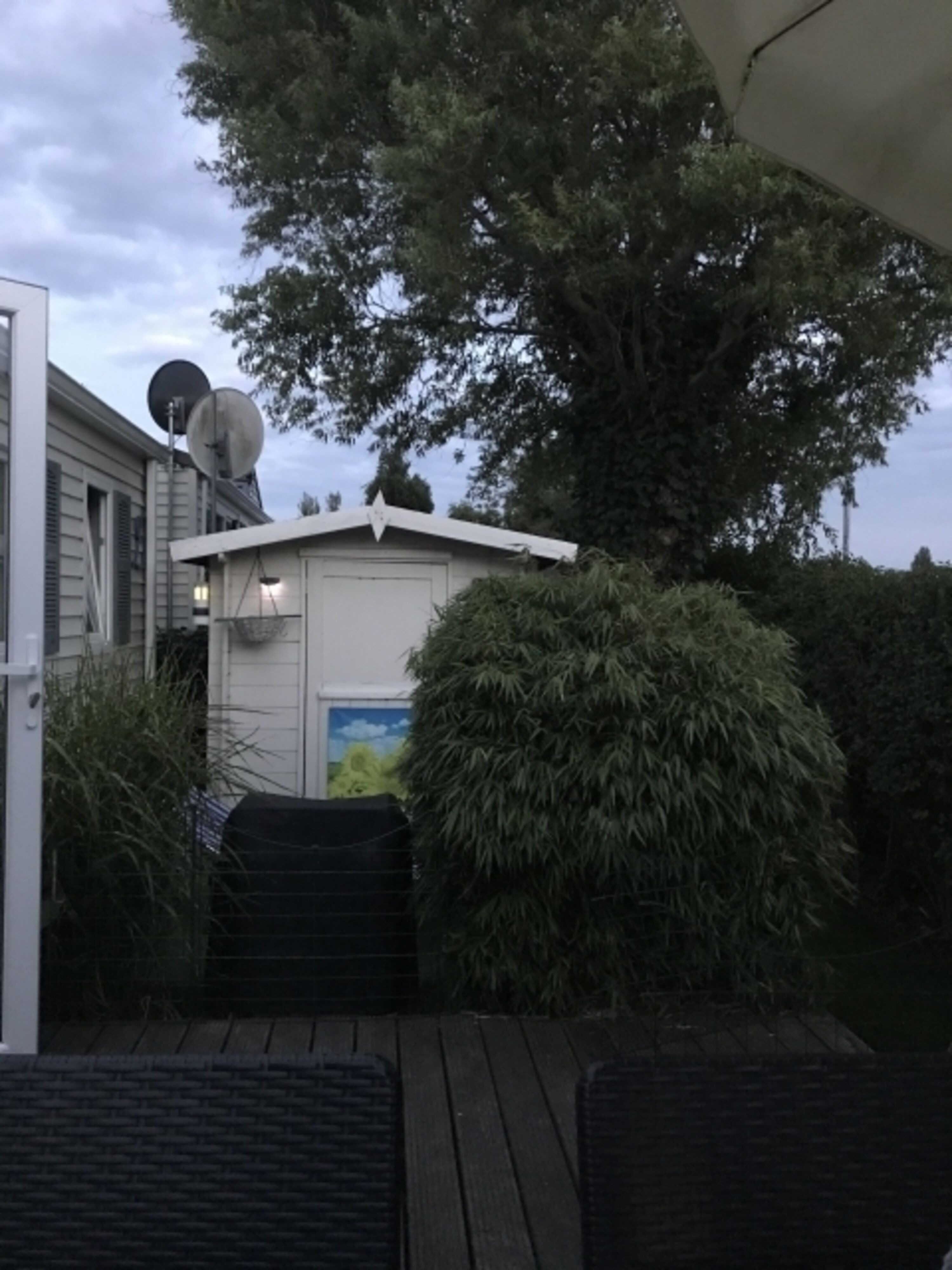 Bild 17