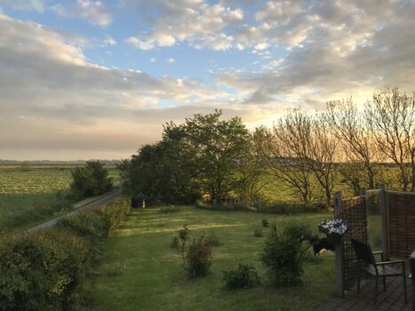 Abendstimmung im Garten