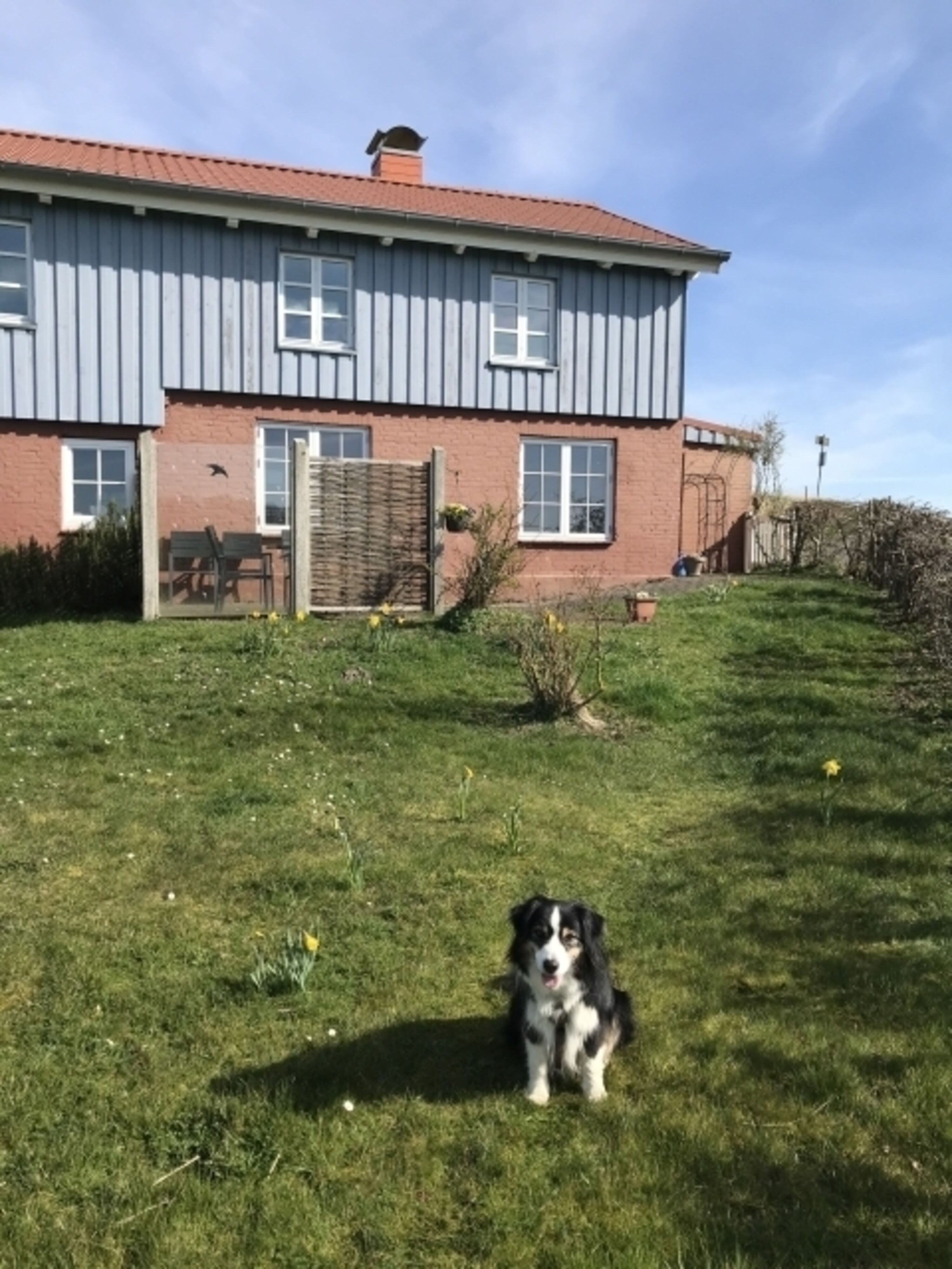 Auch Ihr Hund ist herzlich willkommen!
