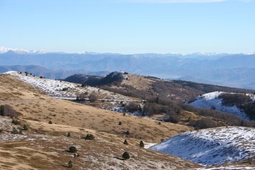 Montagne de Lure im Winter