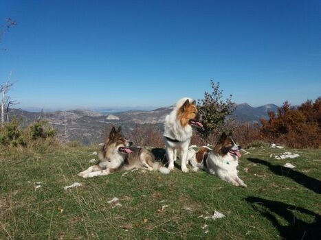 Wanderung Montagne de Lure