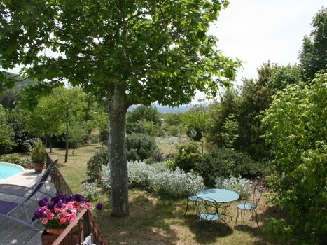 Sitzplatz unter der Platane