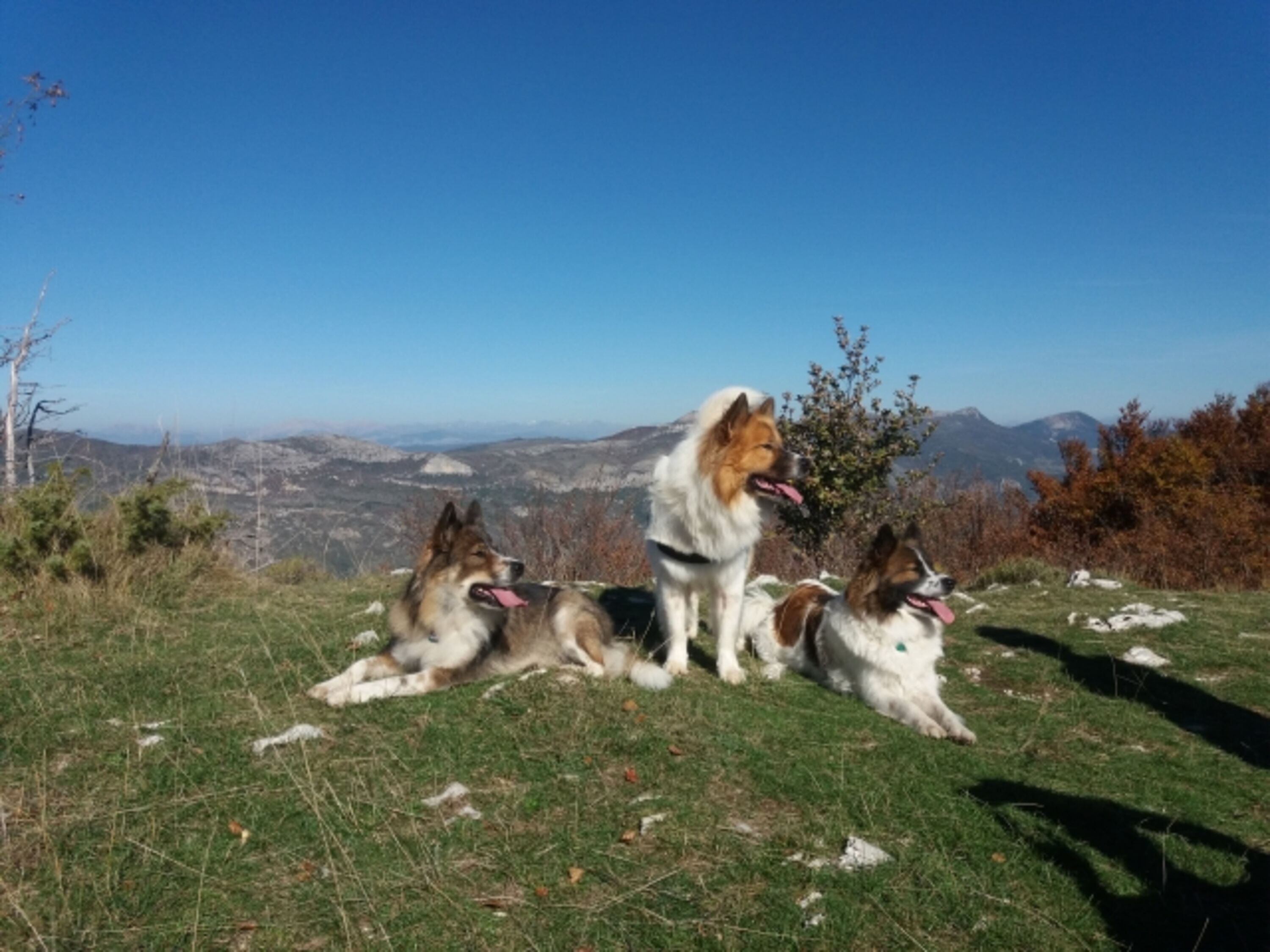 Wanderung Montagne de Lure