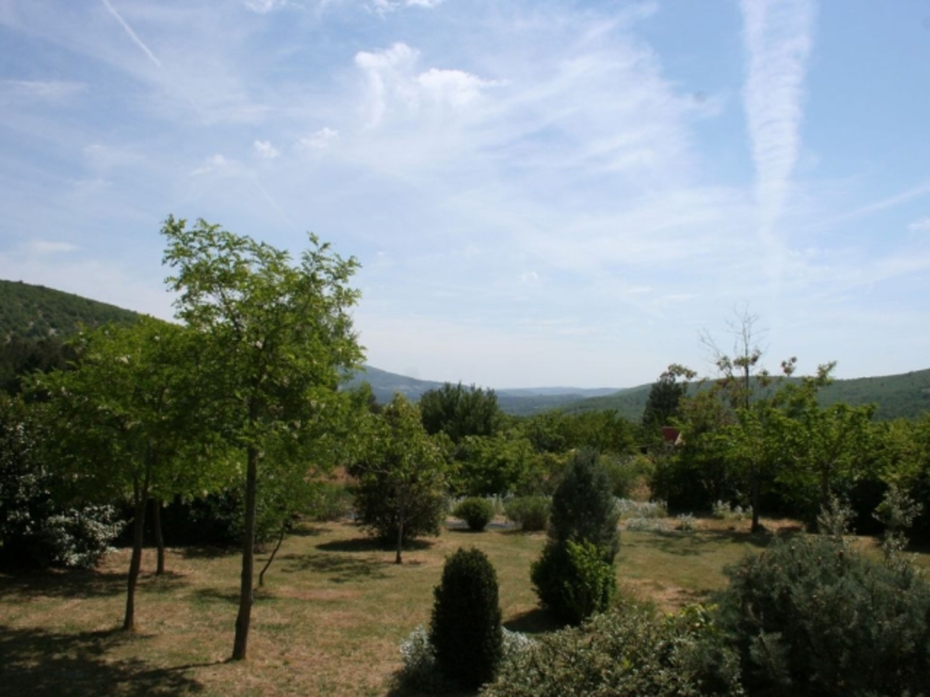 Blick in den Garten