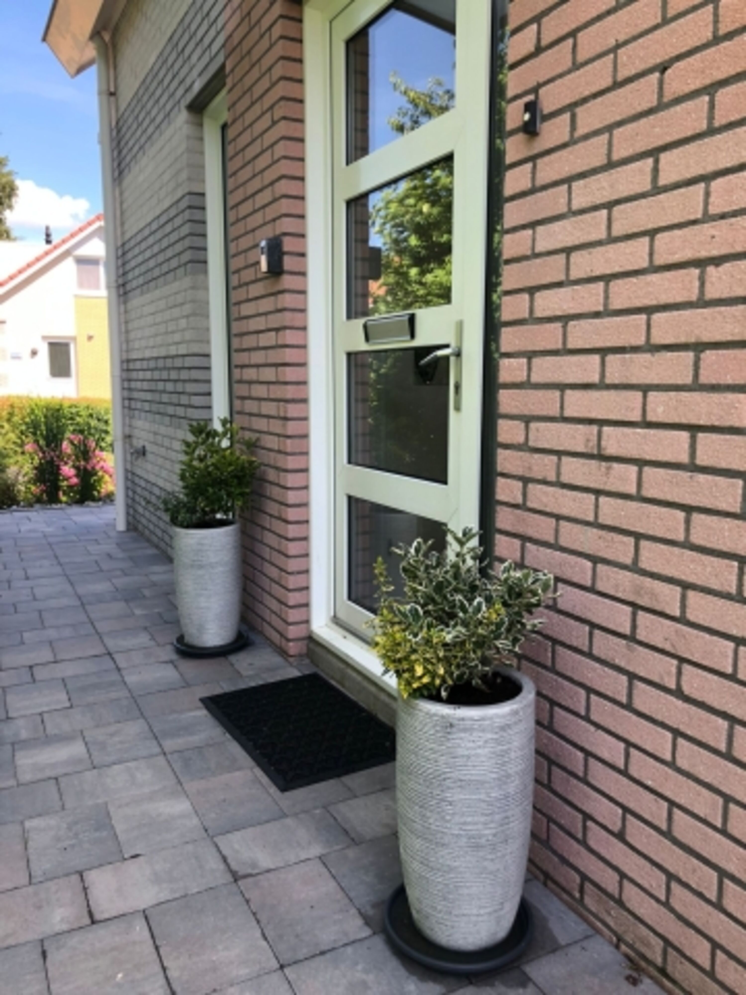 Bild 19