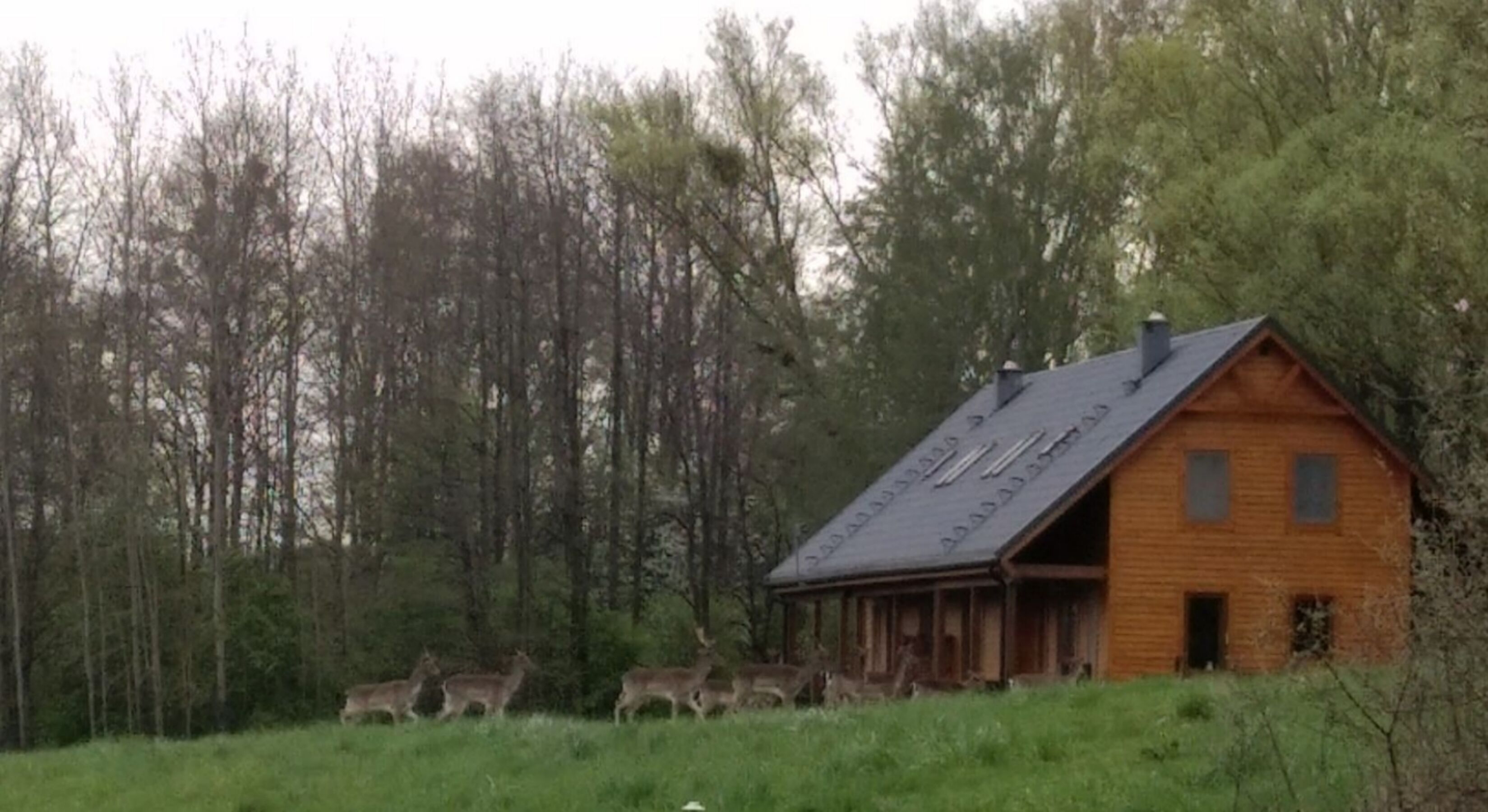 ...und Besucher vor Euren Veranden.