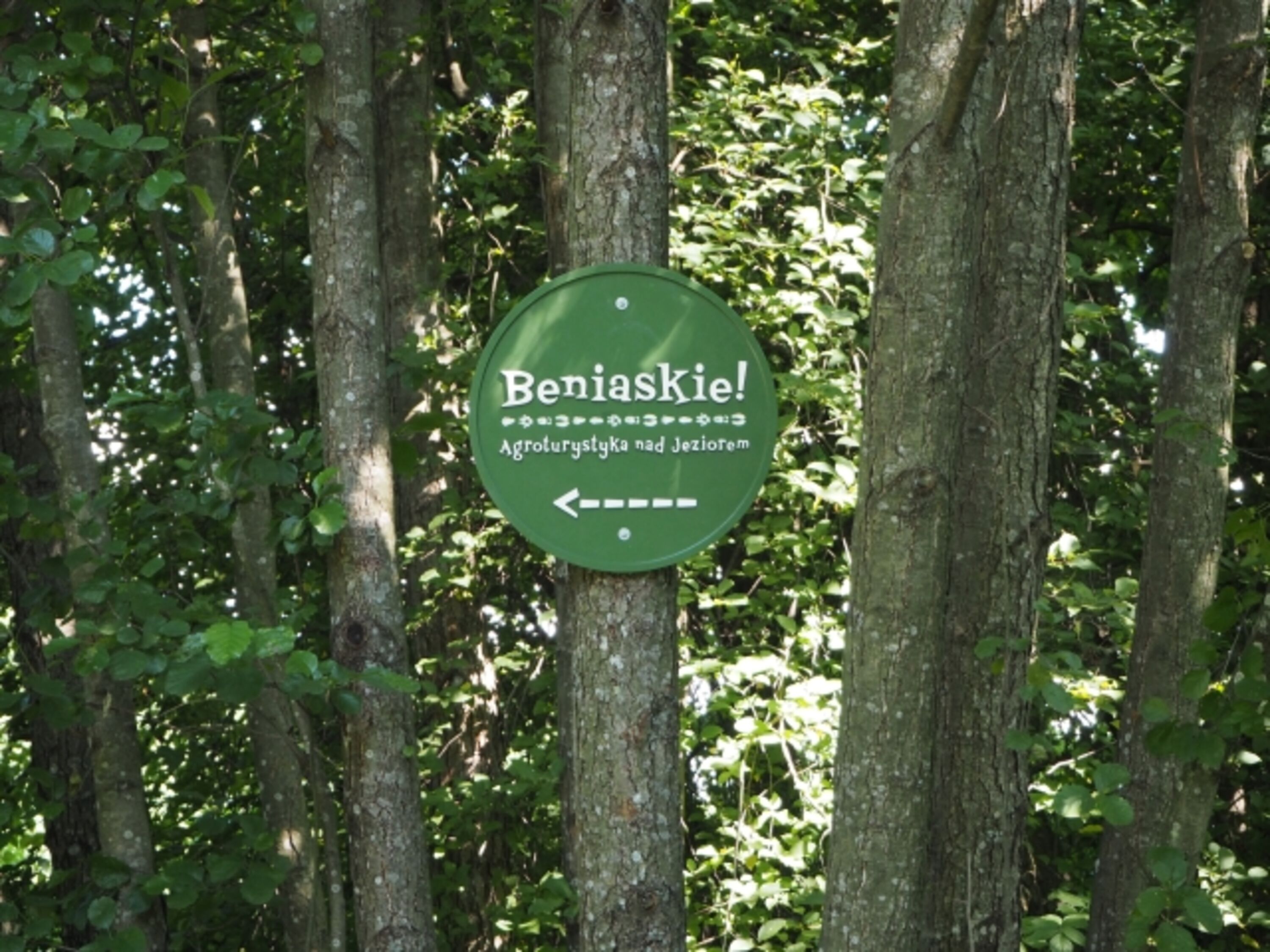 Noch 250 Meter...Die beiden
