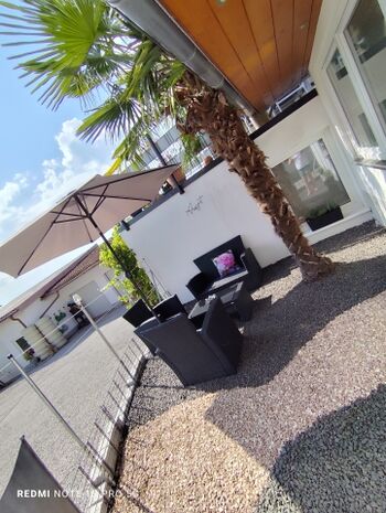 Terrasse mit Lounge Möbeln unter einer Palme