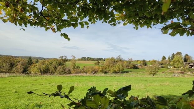 Naturbelassene Landschaft um die Ferienwohnung 