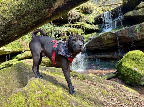 Premiumwanderweg Hexenklamm (5 Min. von der FeWo entfernt)