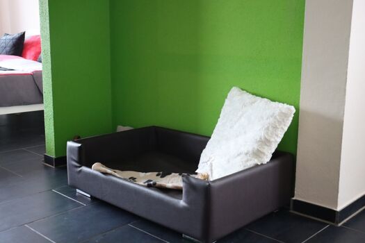 Hundebett Esszimmer