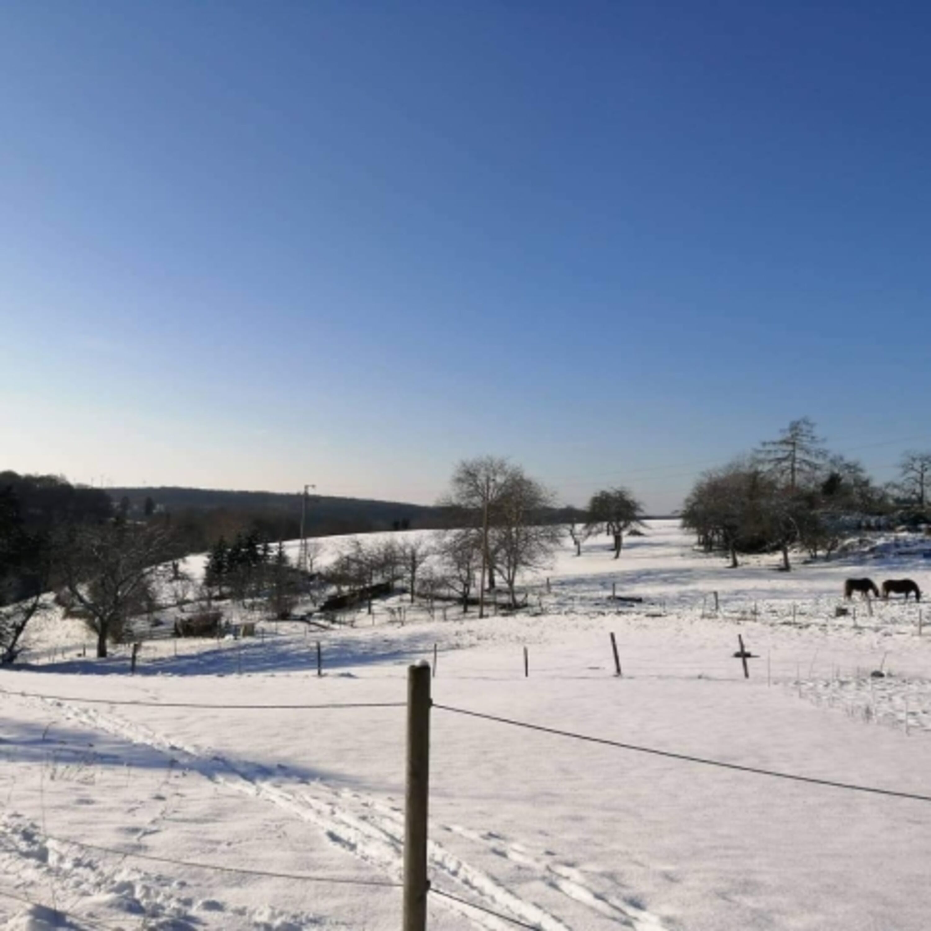 Winterlandschaft um die Ferienwohnung
