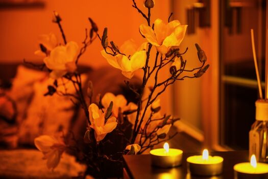 Abendstimmung in der Ferienwohnung Windspiel