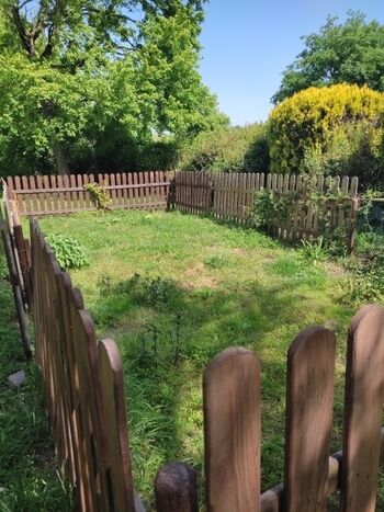 Privater Auslaufbereich für Hunde