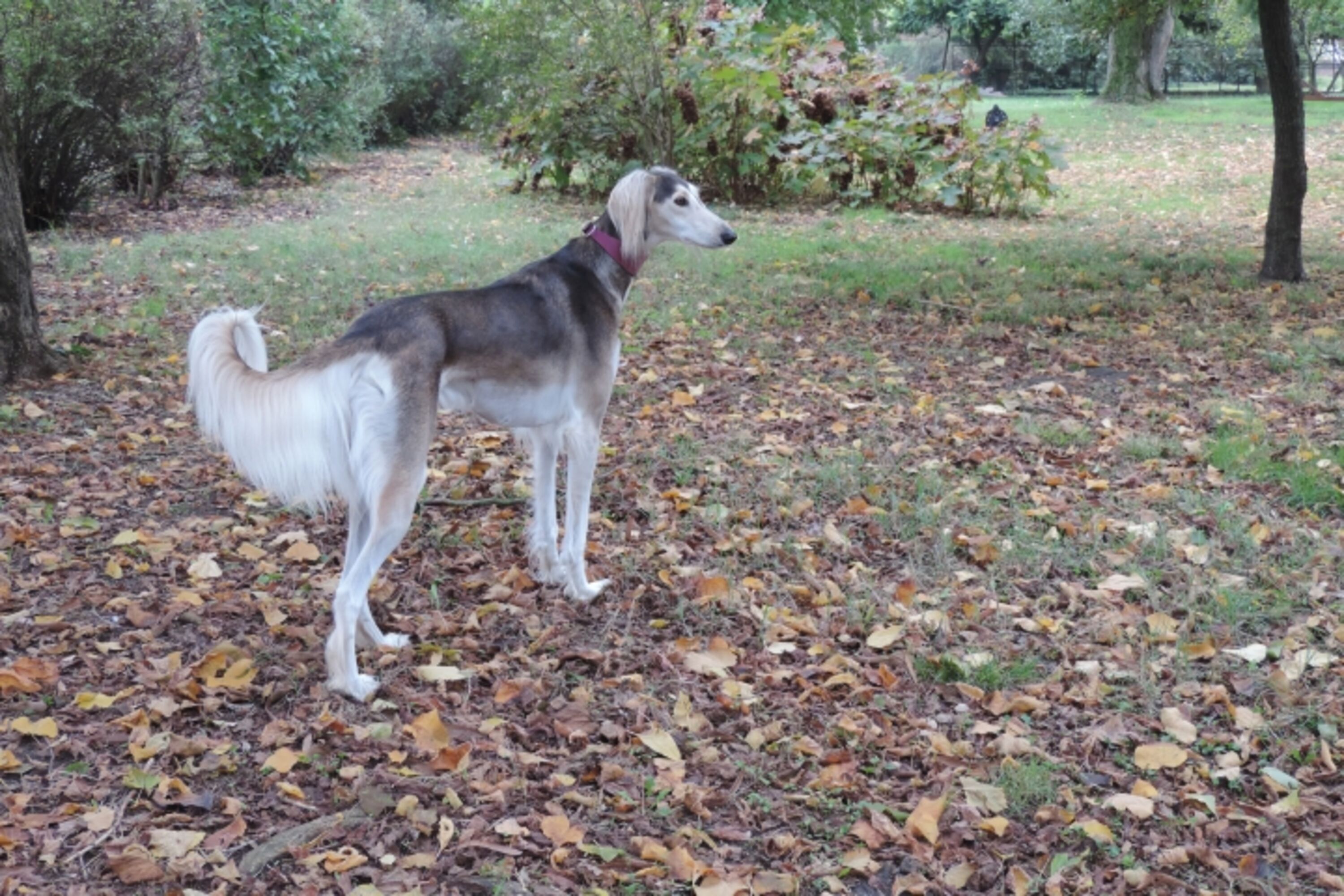 Bild 12