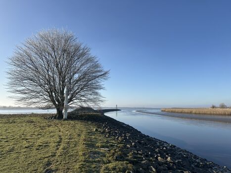 Elbe ganz in der Nähe