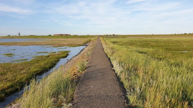 Trischendamm im Frühling