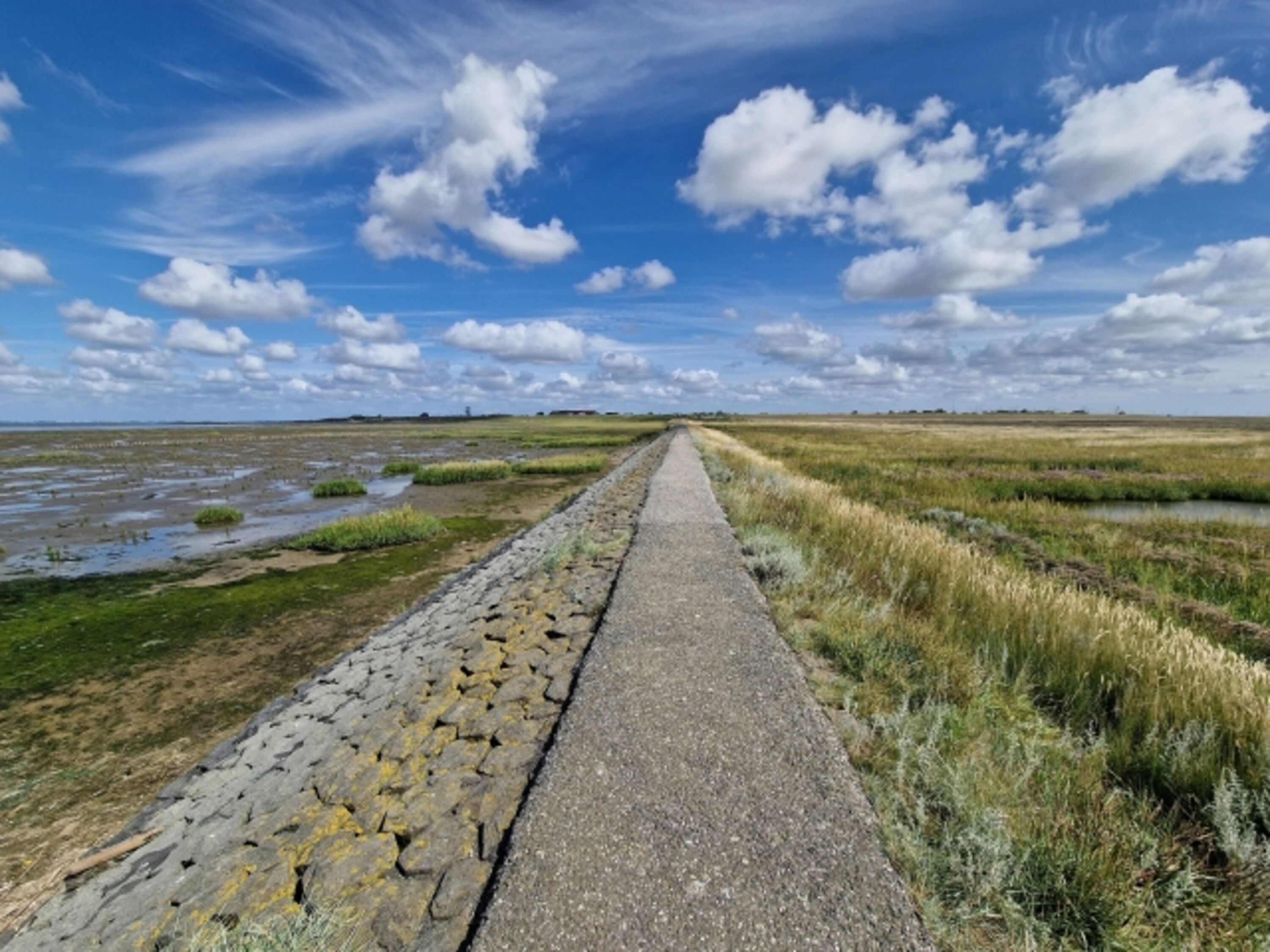 Trischendamm im Sommer
