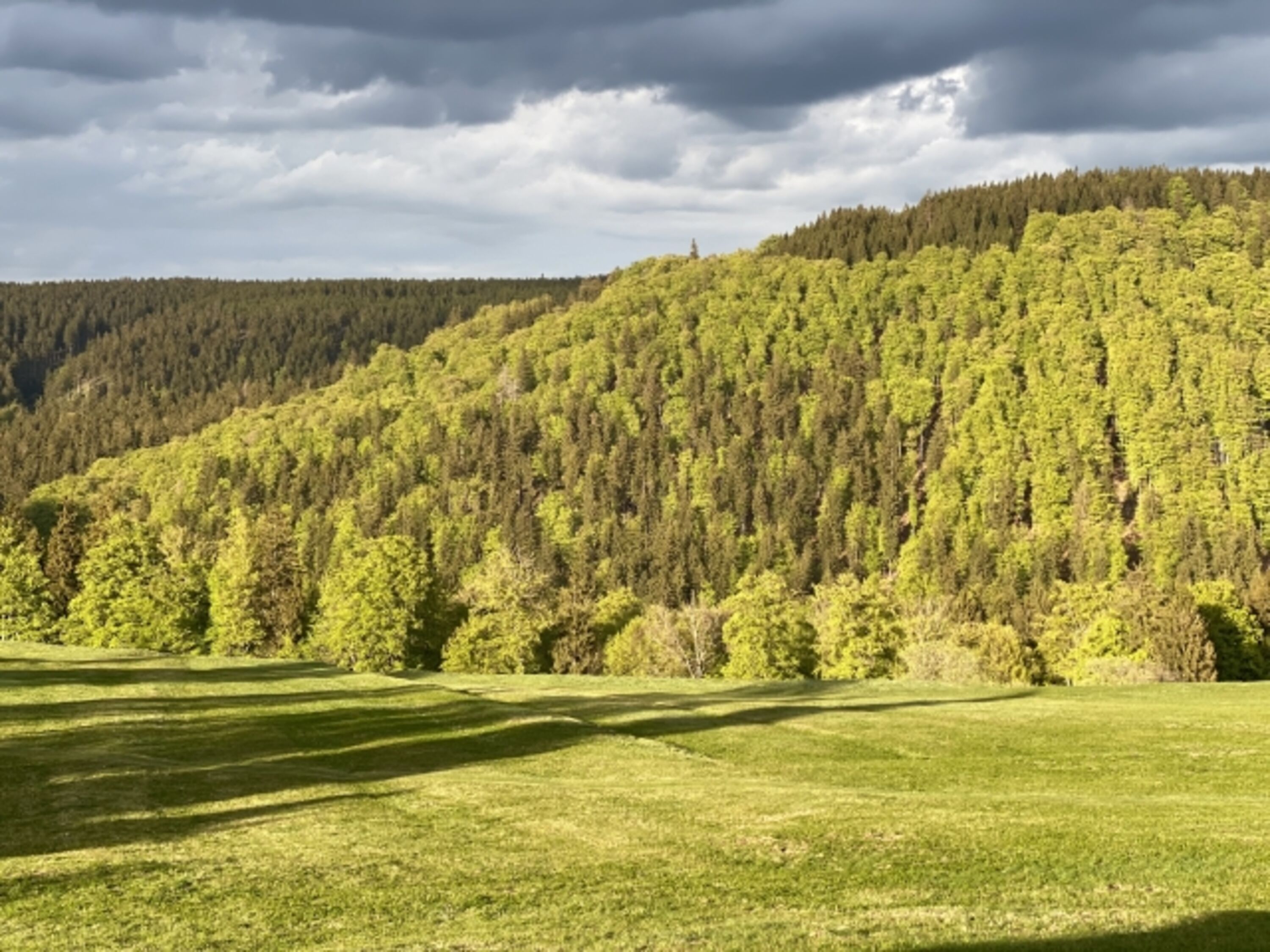 Sommer in Gehlberg