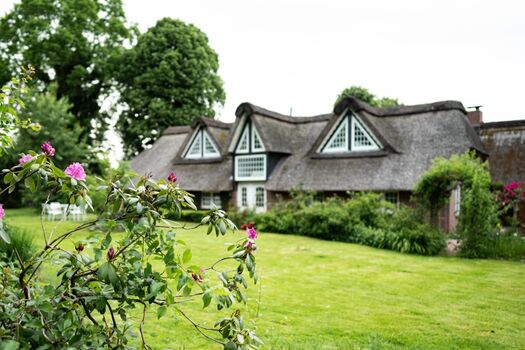 Nutzen Sie gerne den ganzen Garten 