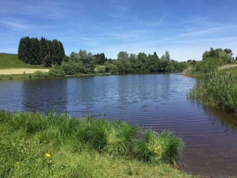 Badesee in der Nähe 