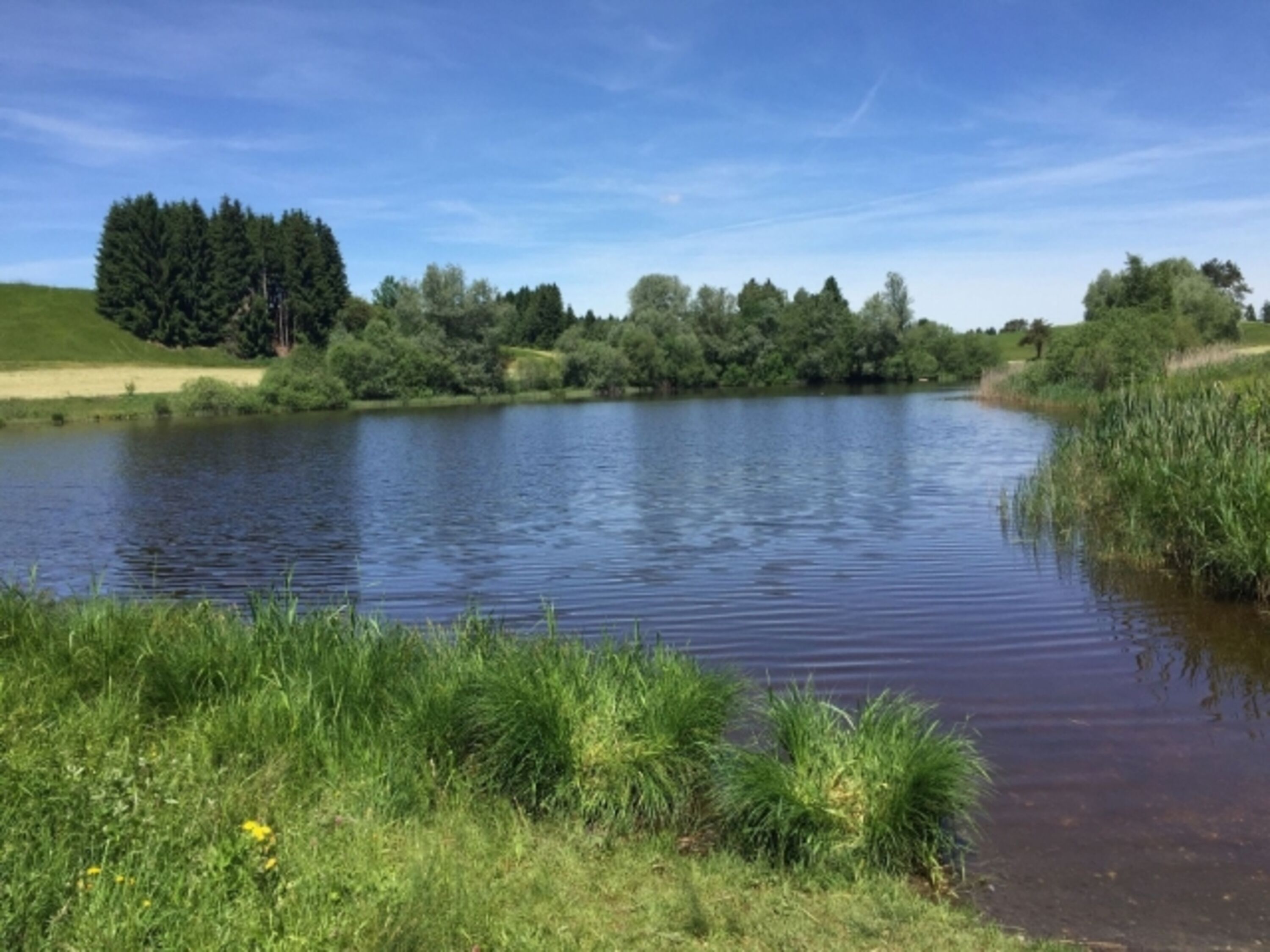 Badesee in der Nähe 