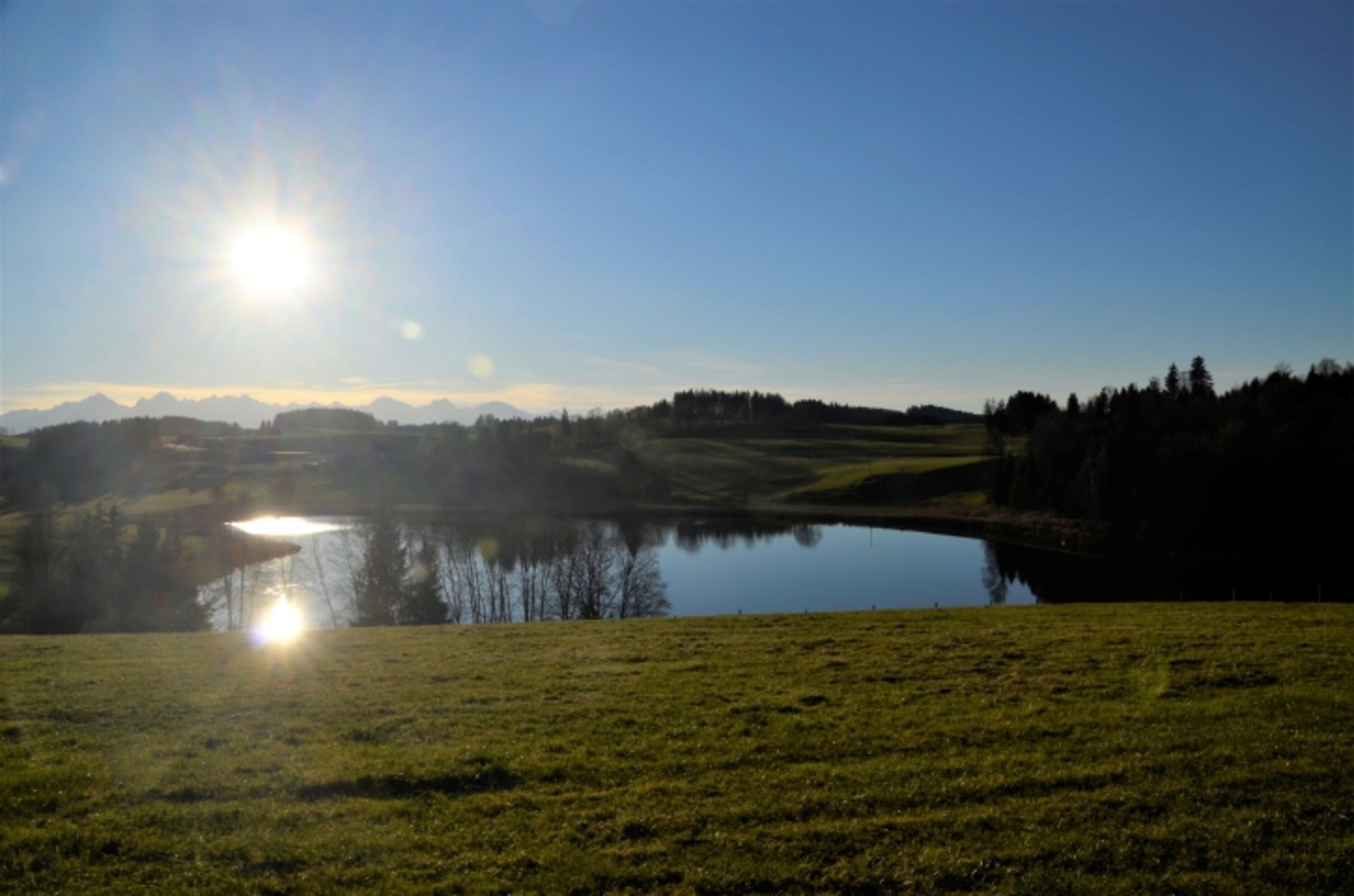 Biberschwöller See